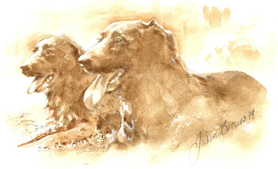 Watercolour portrait of two dogs